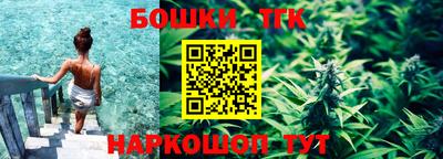 сатива Лесосибирск