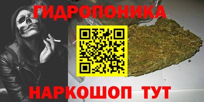 сатива Лесосибирск