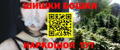 сатива Лесосибирск
